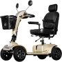 Scooter cruiser